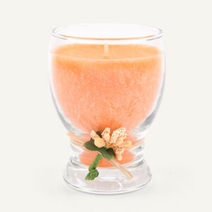 Bougie parfumée Cannelle orange